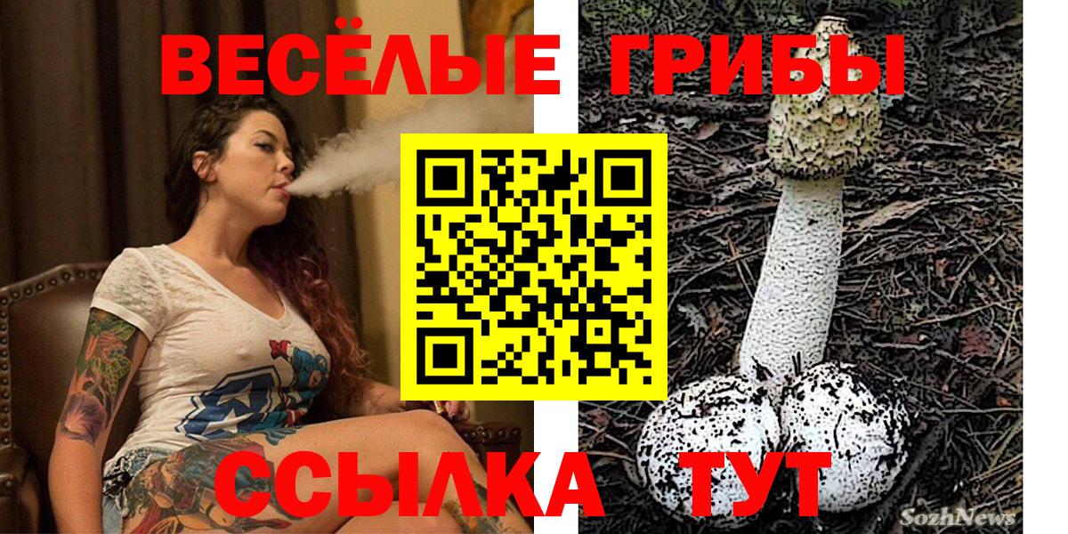 цены наркотик  Вход с VPN  Махачкала  Псилоцибиновые грибы ЛСД  Галлюциногенные грибы Cubensis 