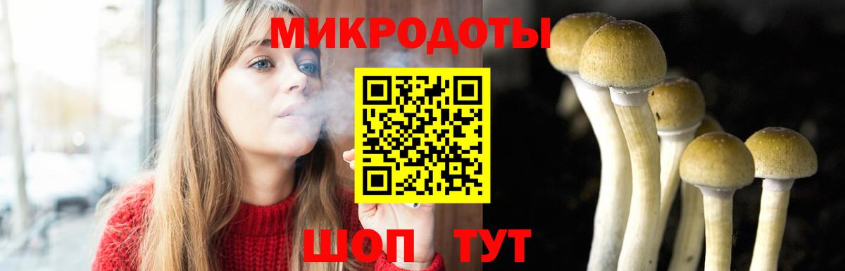 Галлюциногенные грибы Cubensis Махачкала